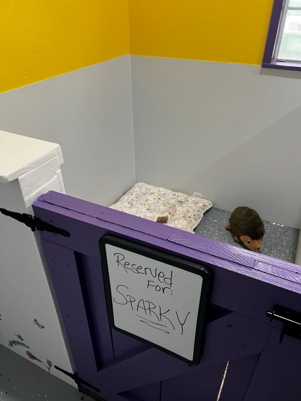 Petite Suite A - reserved for next pet