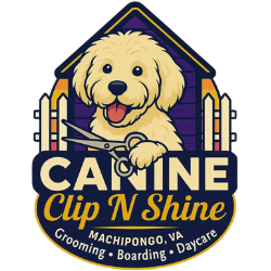 Staging – Canine Clip 'N Shine