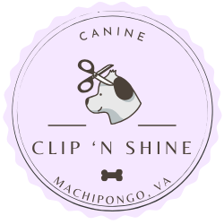 Canine Clip 'N Shine